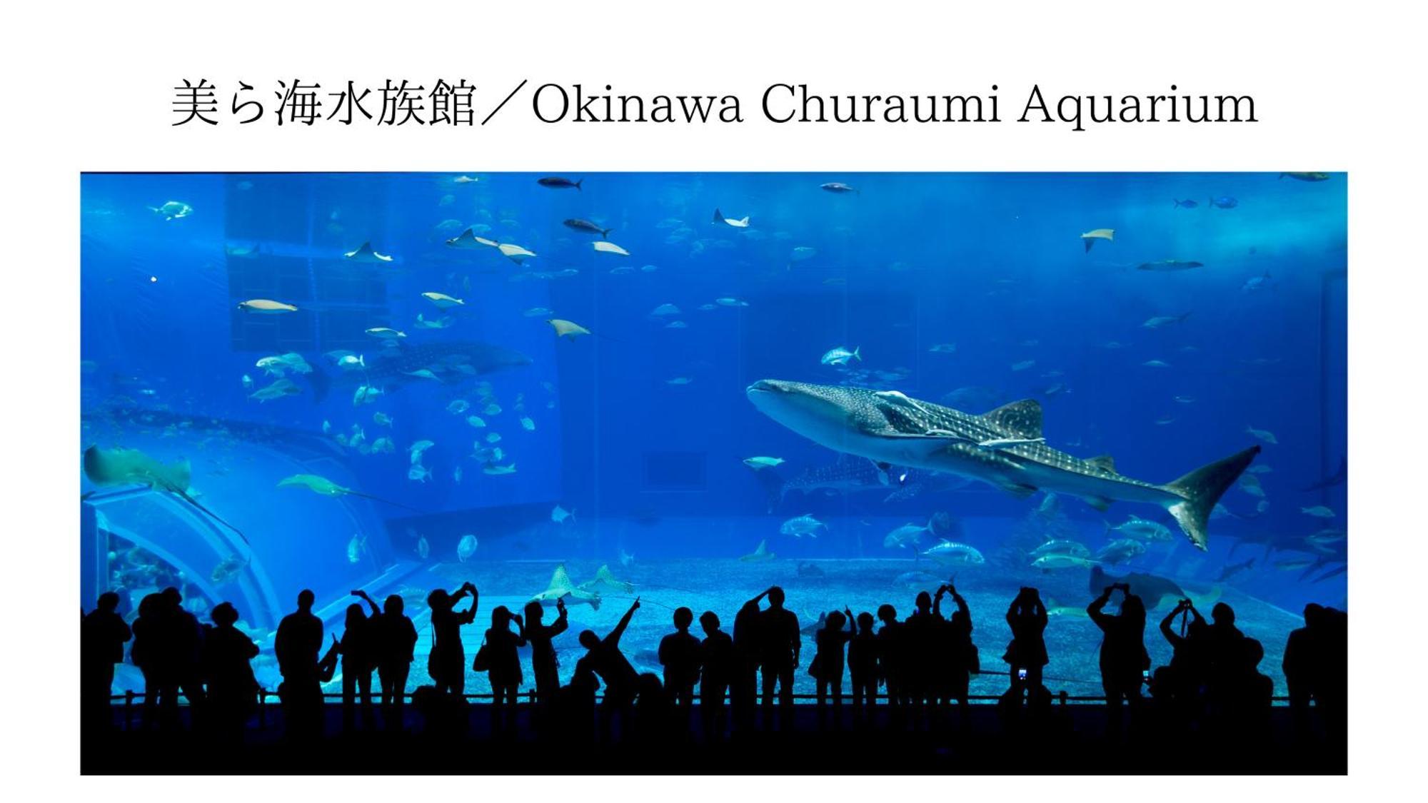 Aqua Shallows Onna Exterior photo